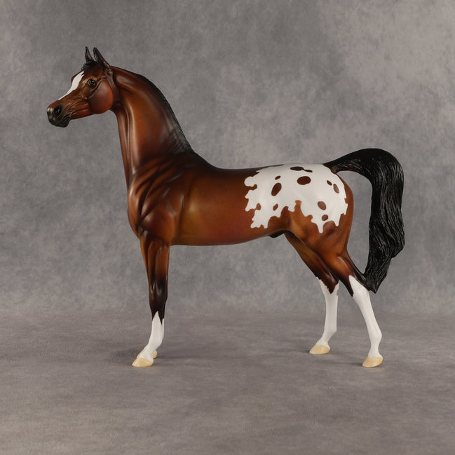 Sent Flying OOAK Arabian Stallion by Dawn Quick SHCF26