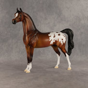 Sent Flying OOAK Arabian Stallion by Dawn Quick SHCF26