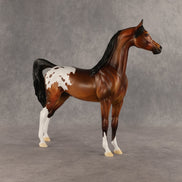 Sent Flying OOAK Arabian Stallion by Dawn Quick SHCF26