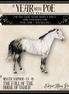Mystic Vapor LE-15 FCM Ideal Stock Horse by Ellen Robbins YP26