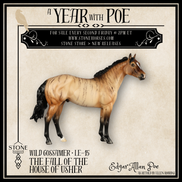 Wild Gossamer LE-15 FCM Ideal Stock Horse by Ellen Robbins YP26