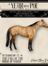 Afterdream LE-10 FCM Chip Stock Horse by Ellen Robbins YP26