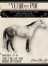 Roderick LE-10 FCM Chip Stock Horse by Ellen Robbins YP26