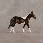 Sera LE-5 Chip Mule by Anna Rieck June $99 Chips