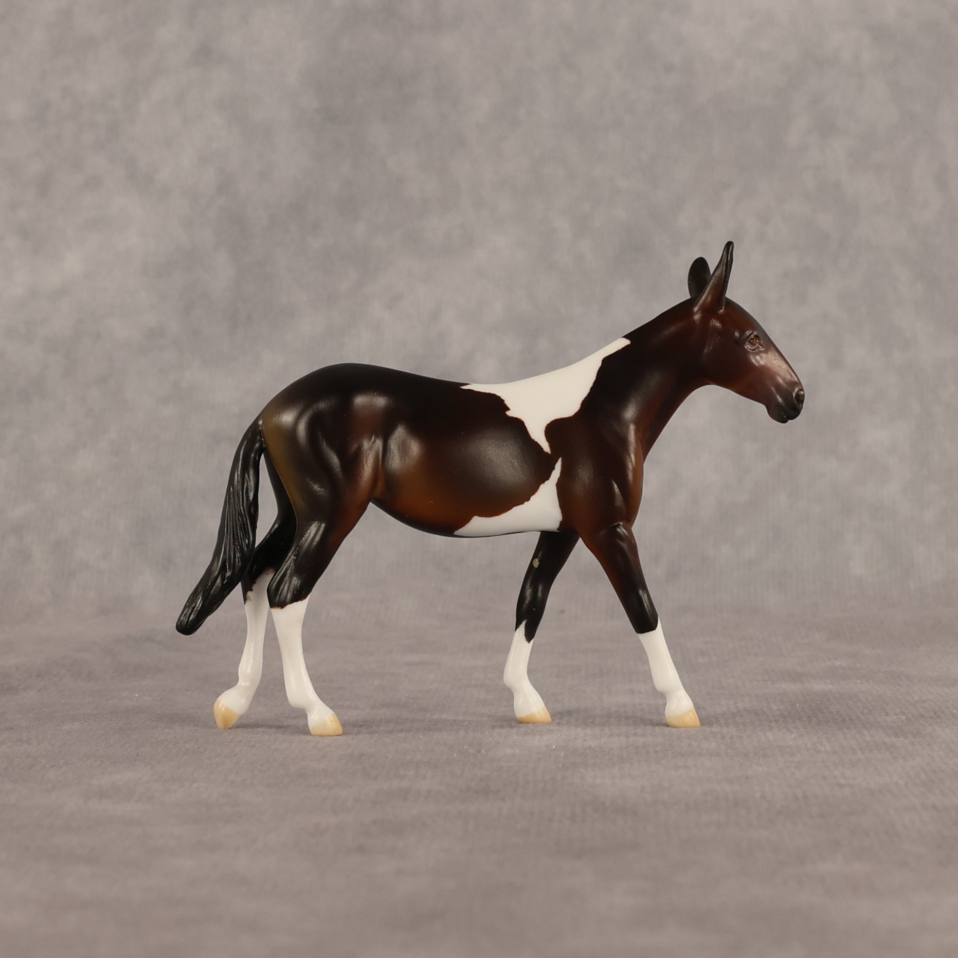 Sera LE-5 Chip Mule by Anna Rieck June $99 Chips