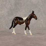 Sera LE-5 Chip Mule by Anna Rieck June $99 Chips