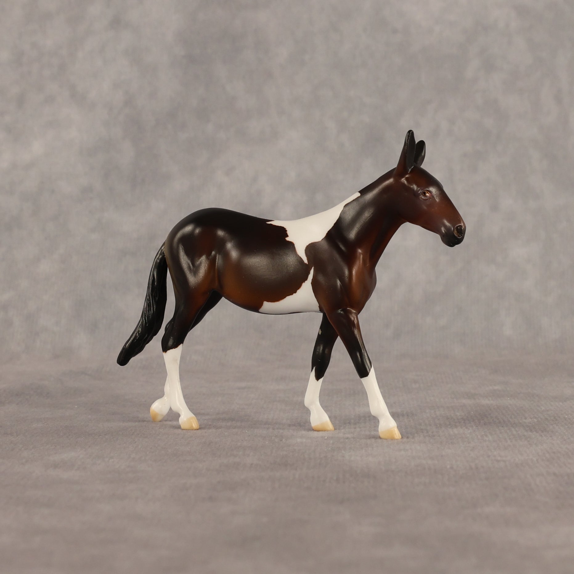 Sera LE-5 Chip Mule by Anna Rieck June $99 Chips