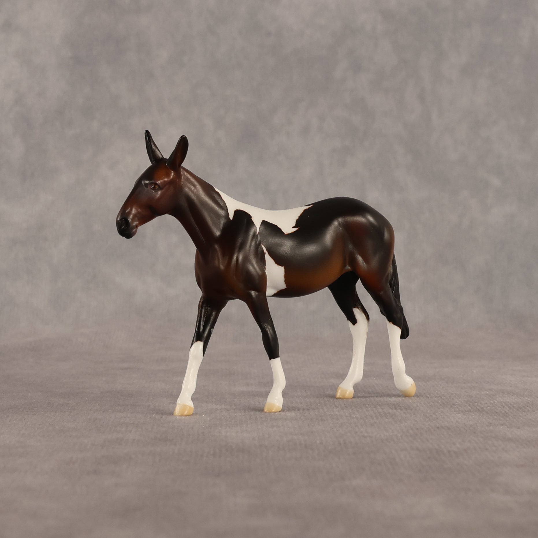 Sera LE-5 Chip Mule by Anna Rieck June $99 Chips