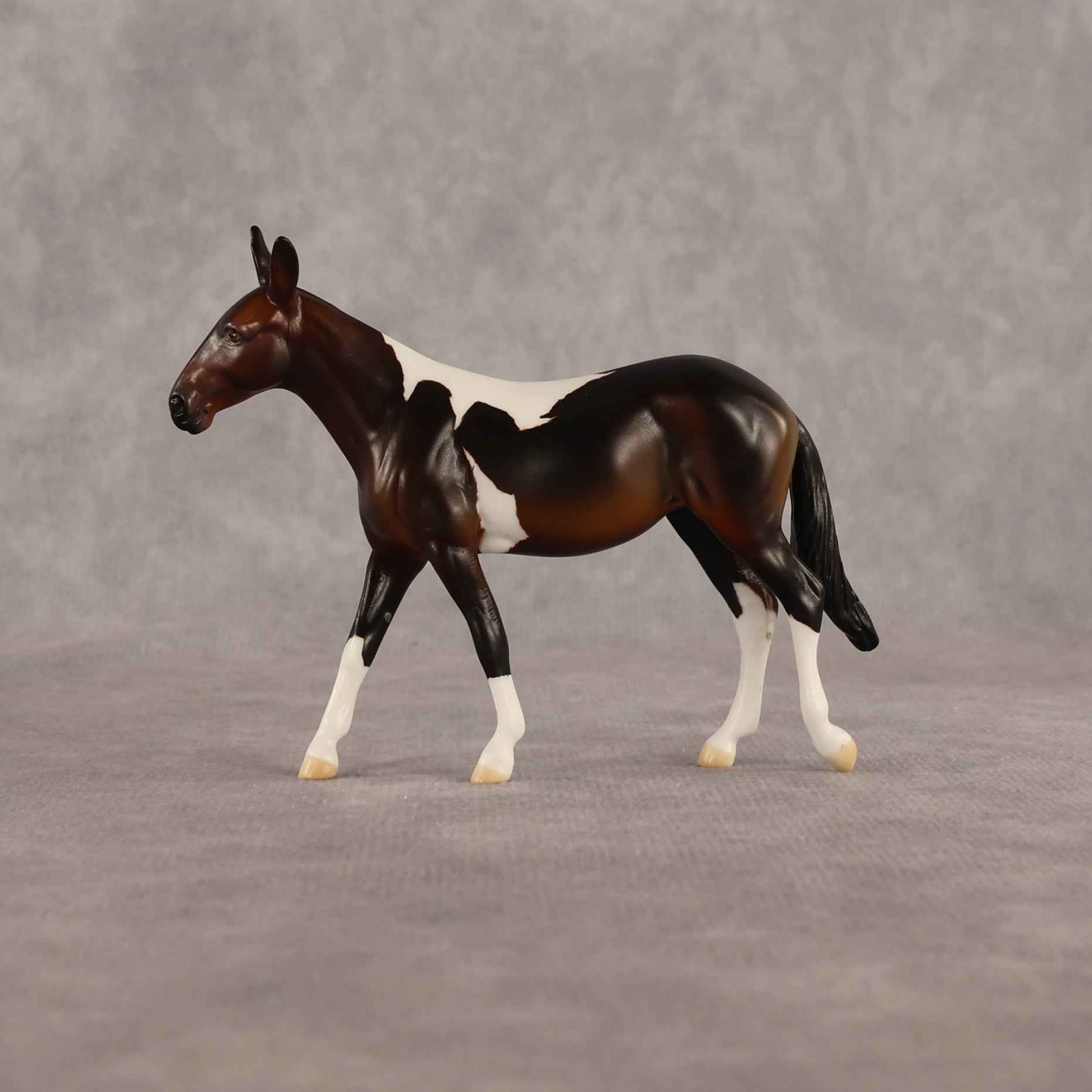 Sera LE-5 Chip Mule by Anna Rieck June $99 Chips