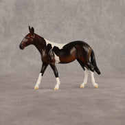 Sera LE-5 Chip Mule by Anna Rieck June $99 Chips
