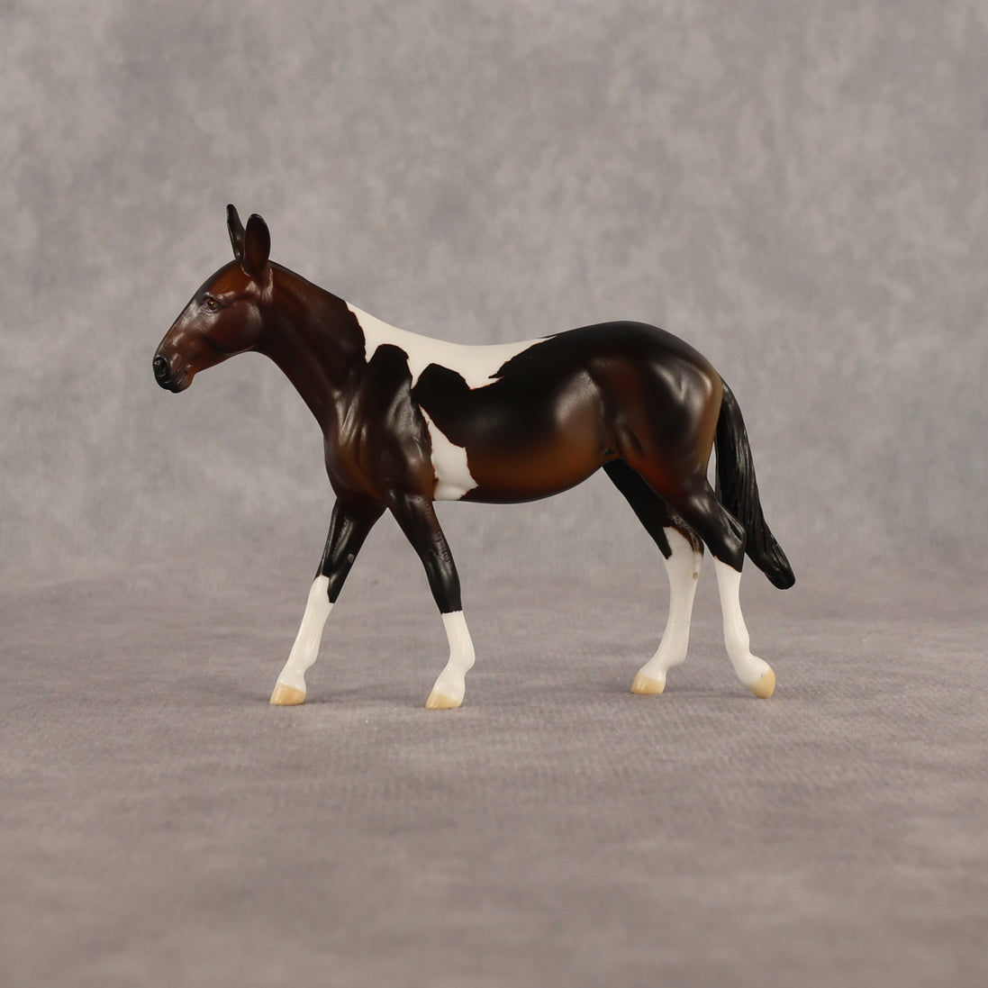 Sera LE-5 Chip Mule by Anna Rieck June $99 Chips