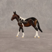 Sera LE-5 Chip Mule by Anna Rieck June $99 Chips