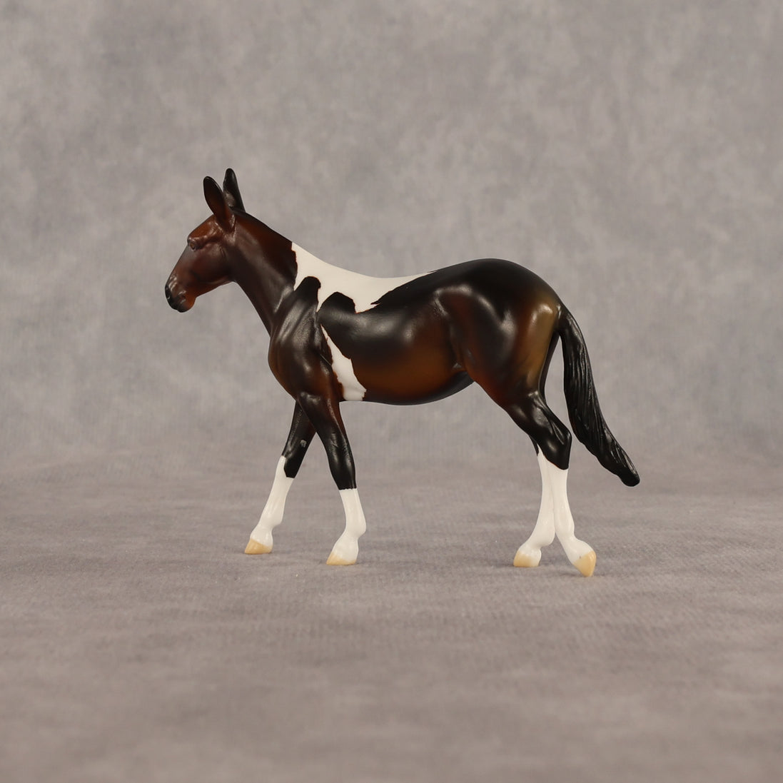 Sera LE-5 Chip Mule by Anna Rieck June $99 Chips