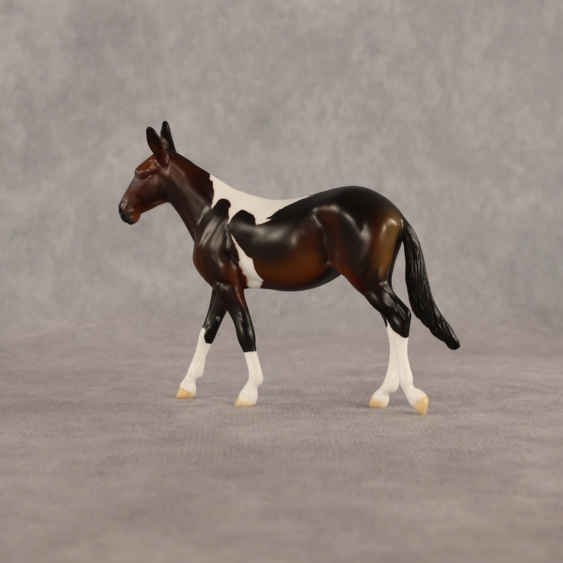 Sera LE-5 Chip Mule by Anna Rieck June $99 Chips