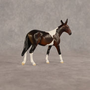 Sera LE-5 Chip Mule by Anna Rieck June $99 Chips