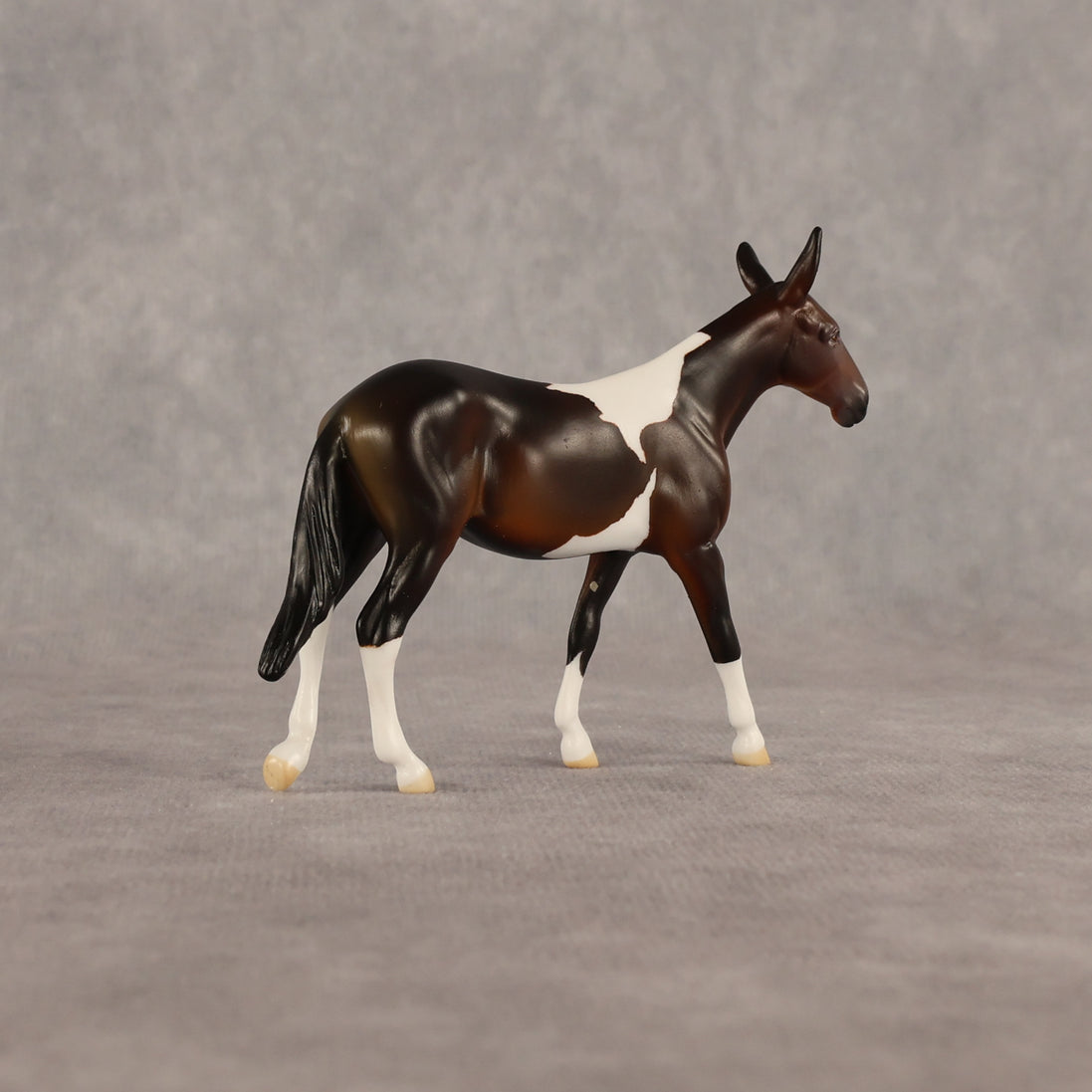 Sera LE-5 Chip Mule by Anna Rieck June $99 Chips