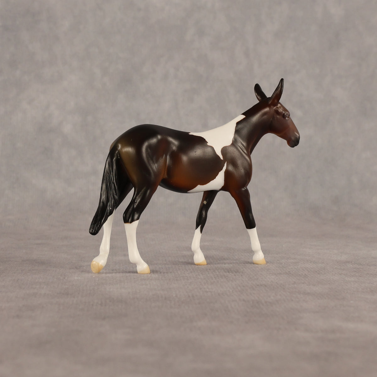 Sera LE-5 Chip Mule by Anna Rieck June $99 Chips