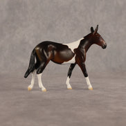 Sera LE-5 Chip Mule by Anna Rieck June $99 Chips