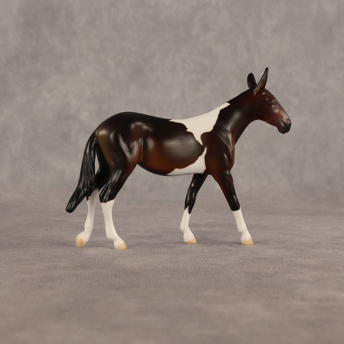 Sera LE-5 Chip Mule by Anna Rieck June $99 Chips