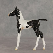 Sesame OOAK FCM Arabian Foal by Jess Hamill VV26