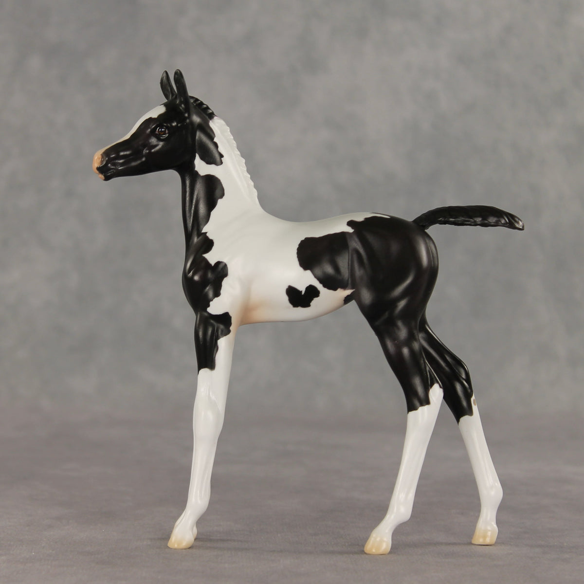Sesame OOAK FCM Arabian Foal by Jess Hamill VV26