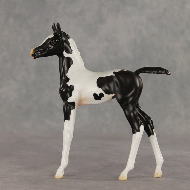 Sesame OOAK FCM Arabian Foal by Jess Hamill VV26