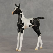 Sesame OOAK FCM Arabian Foal by Jess Hamill VV26