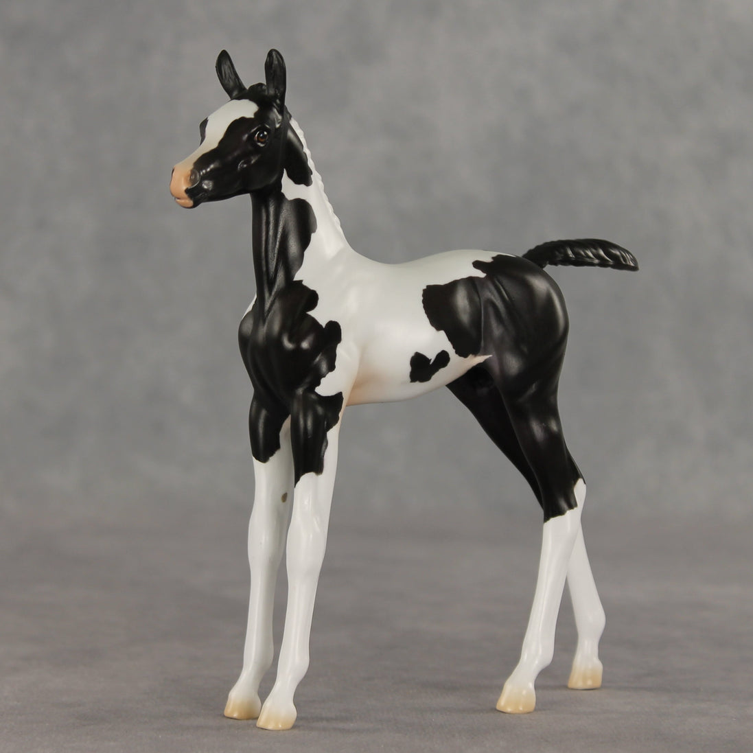 Sesame OOAK FCM Arabian Foal by Jess Hamill VV26