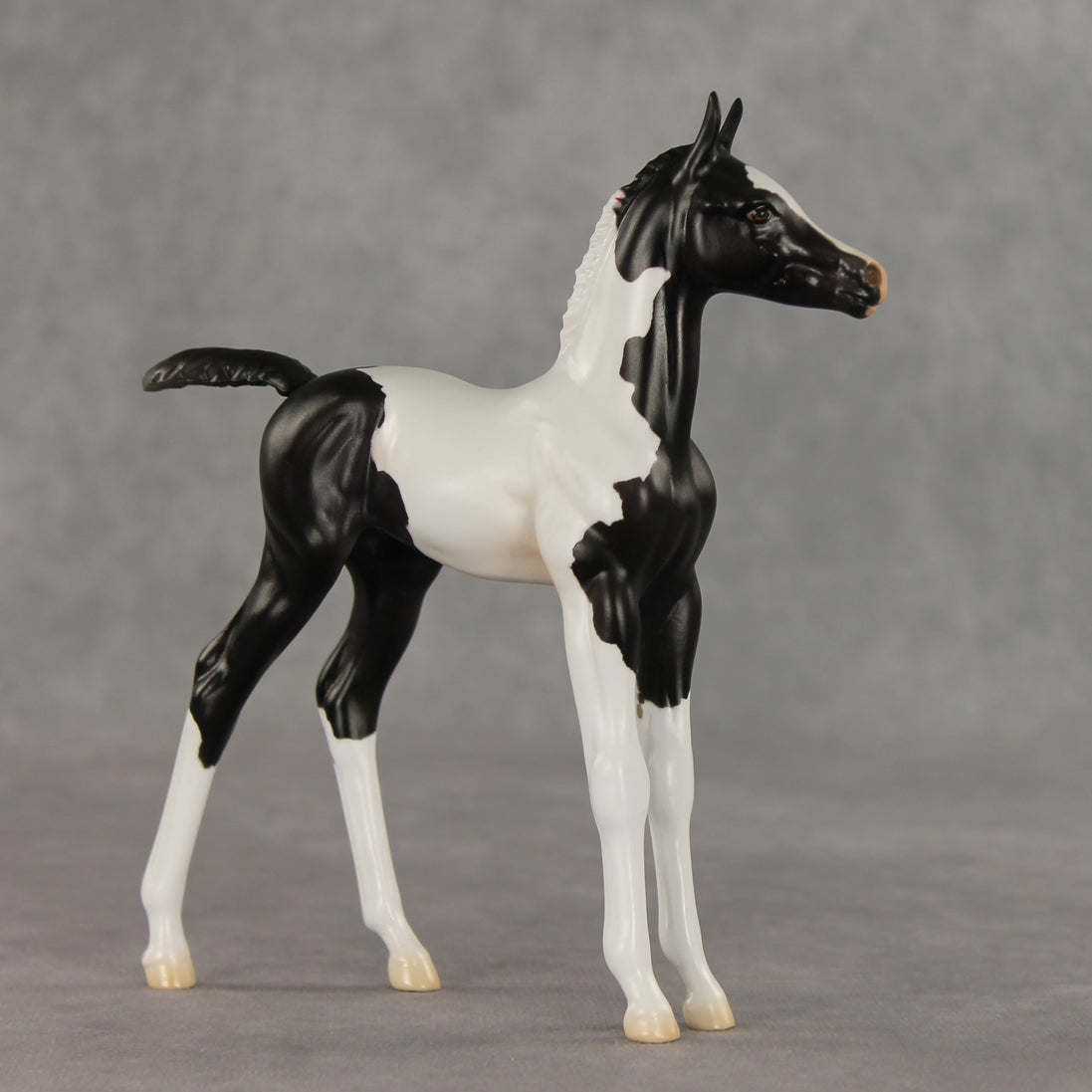 Sesame OOAK FCM Arabian Foal by Jess Hamill VV26