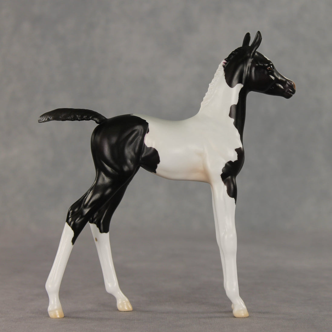 Sesame OOAK FCM Arabian Foal by Jess Hamill VV26