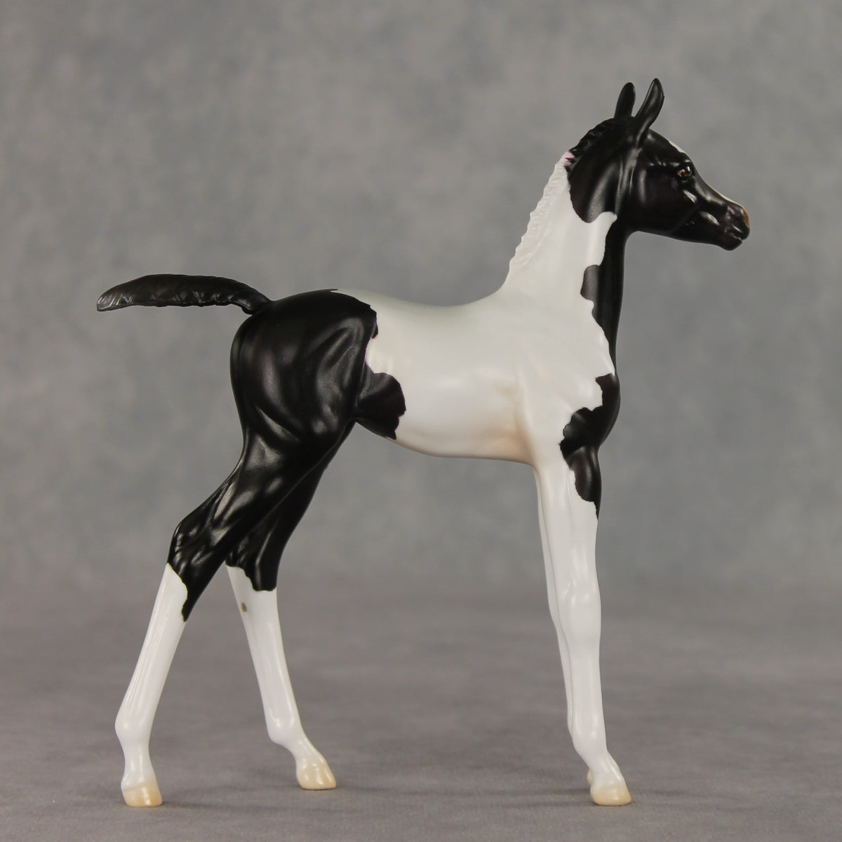 Sesame OOAK FCM Arabian Foal by Jess Hamill VV26