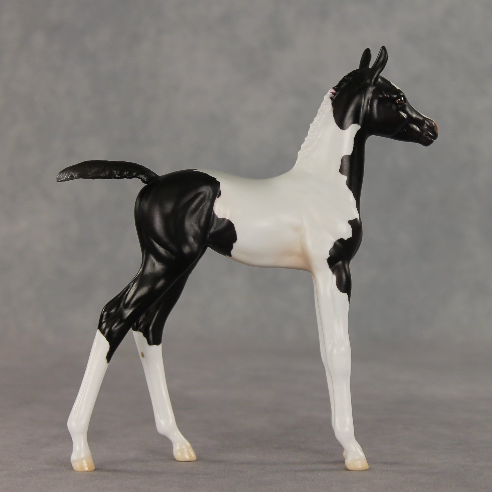 Sesame OOAK FCM Arabian Foal by Jess Hamill VV26