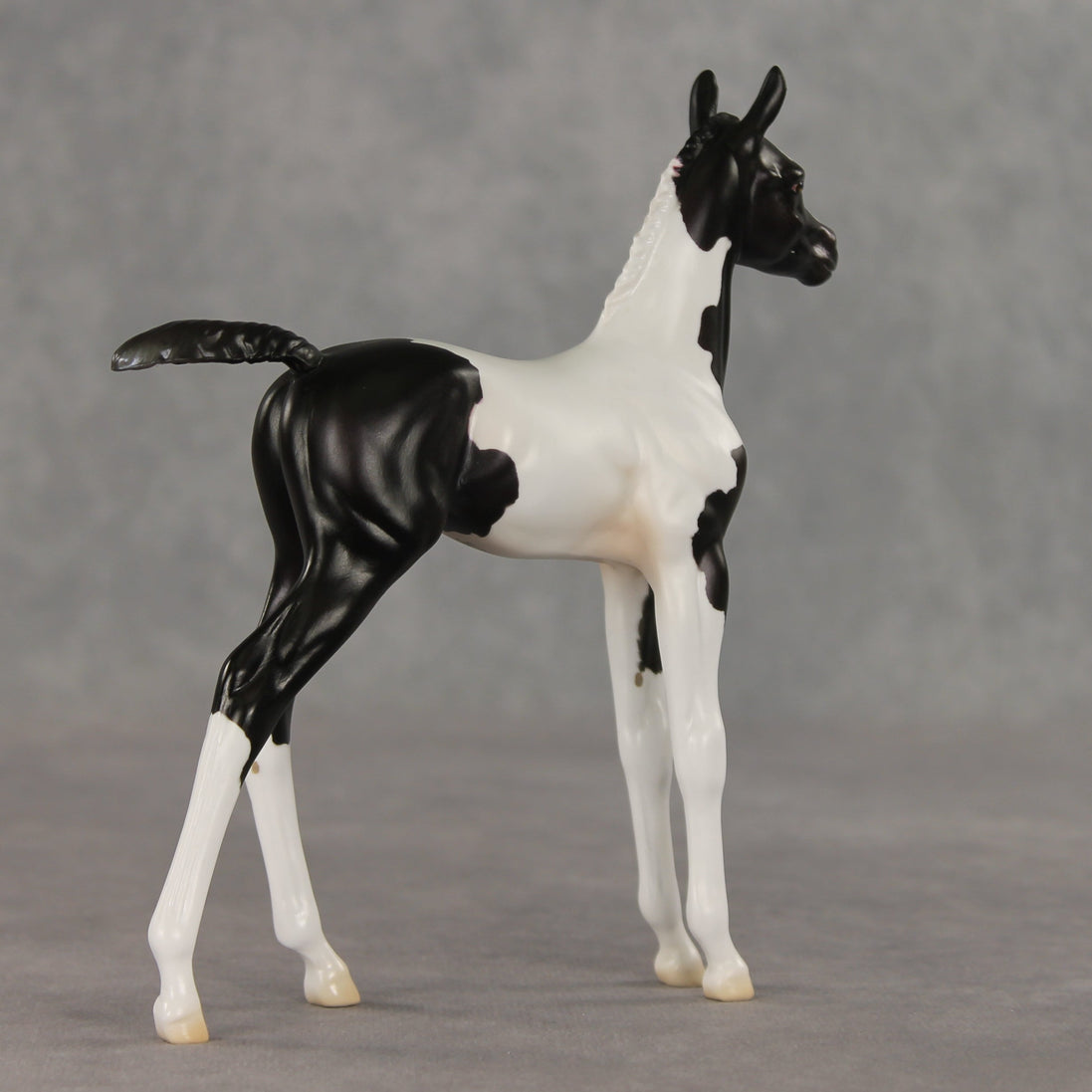 Sesame OOAK FCM Arabian Foal by Jess Hamill VV26