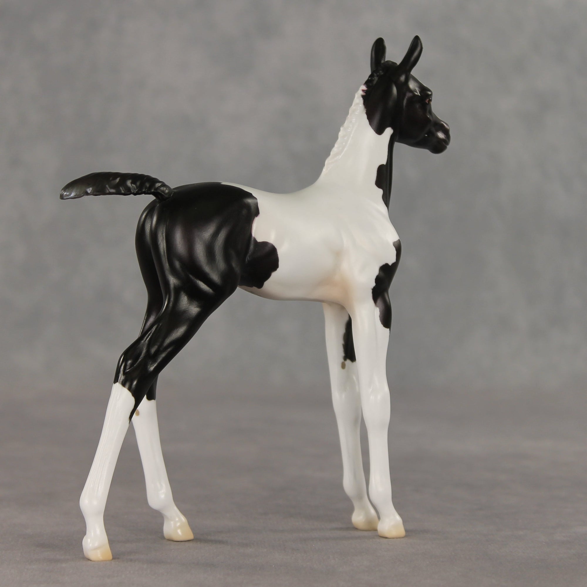 Sesame OOAK FCM Arabian Foal by Jess Hamill VV26