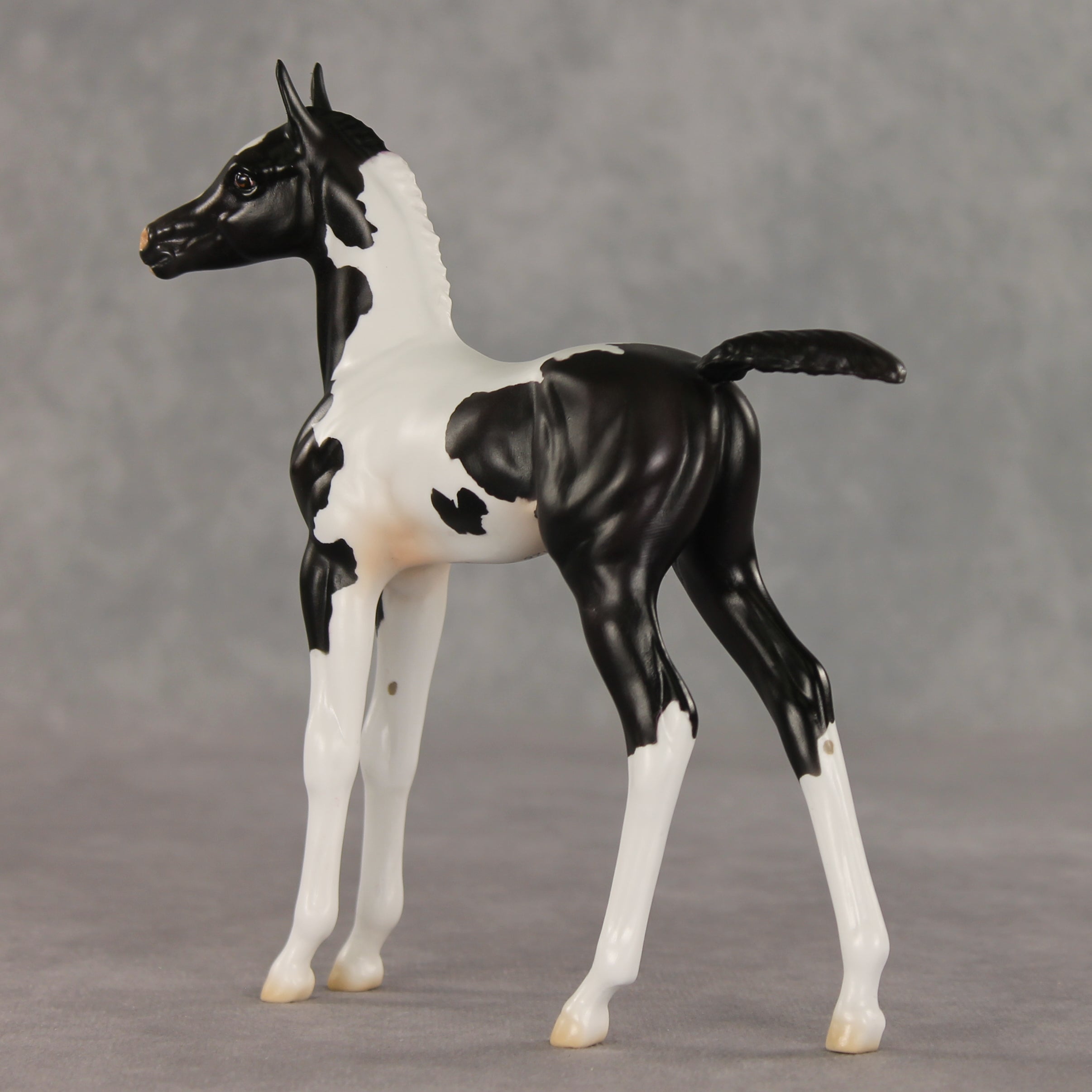 Sesame OOAK FCM Arabian Foal by Jess Hamill VV26