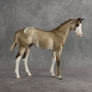 Shaka OOAK FCM Stock Horse Weanling by Sheryl Leisure Best Offer 8.26.2026