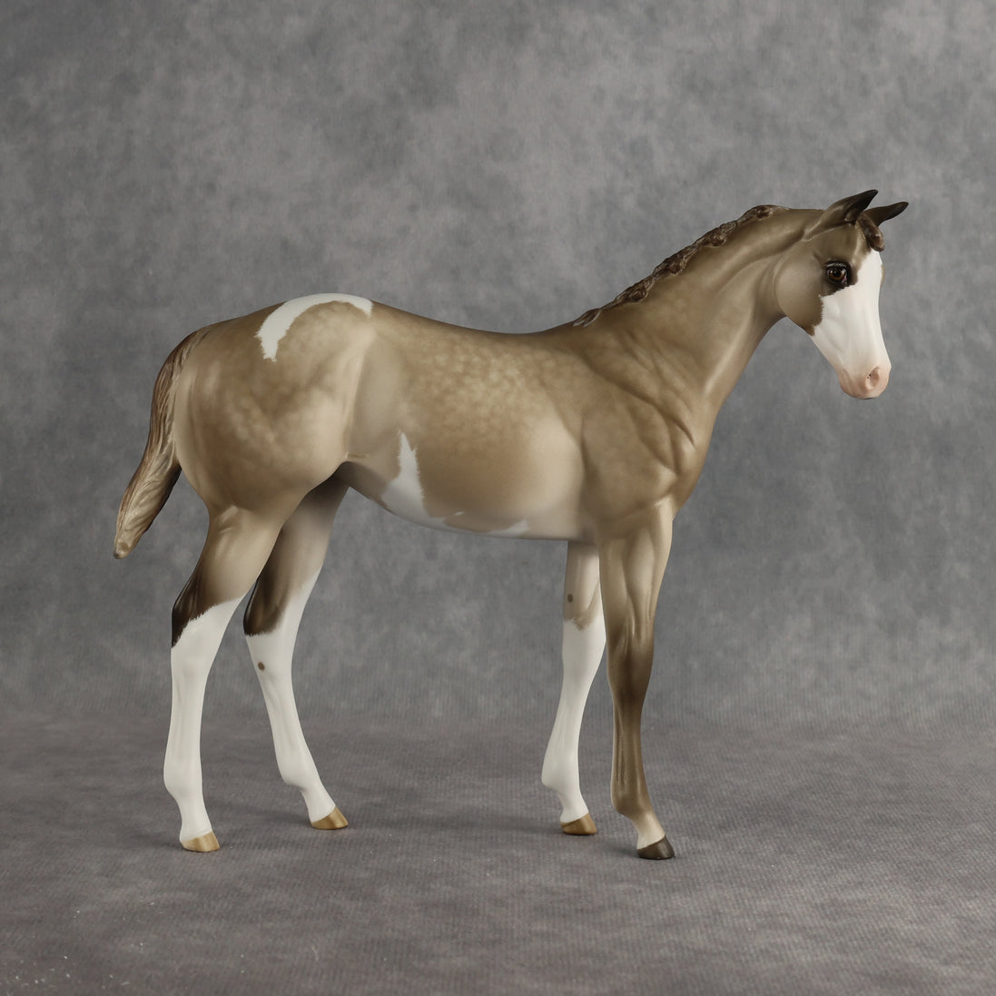 Shaka OOAK FCM Stock Horse Weanling by Sheryl Leisure Best Offer 8.26.2026
