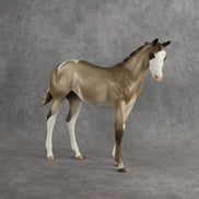 Shaka OOAK FCM Stock Horse Weanling by Sheryl Leisure Best Offer 8.26.2026