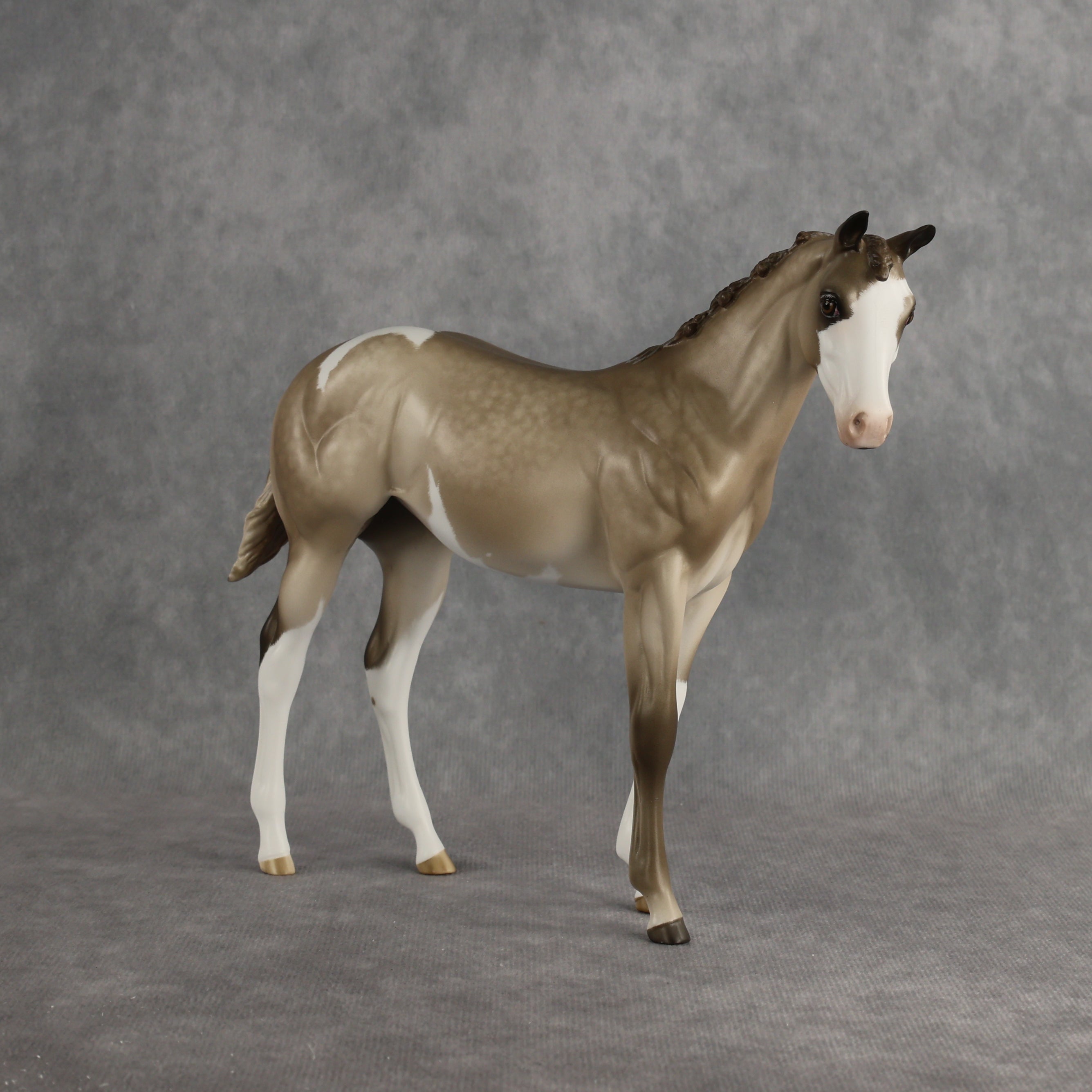 Shaka OOAK FCM Stock Horse Weanling by Sheryl Leisure Best Offer 8.26.2026
