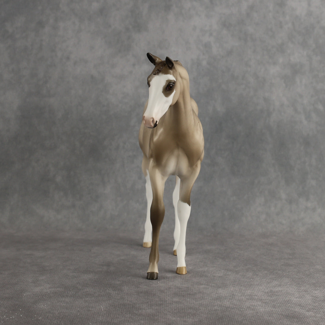 Shaka OOAK FCM Stock Horse Weanling by Sheryl Leisure Best Offer 8.26.2026