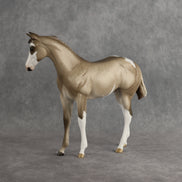 Shaka OOAK FCM Stock Horse Weanling by Sheryl Leisure Best Offer 8.26.2026