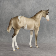 Shaka OOAK FCM Stock Horse Weanling by Sheryl Leisure Best Offer 8.26.2026