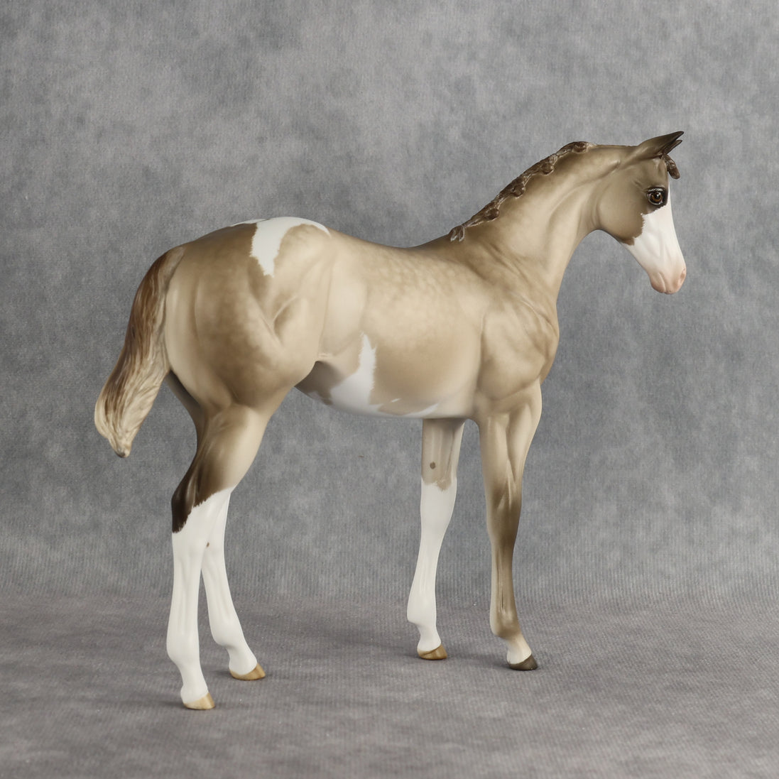 Shaka OOAK FCM Stock Horse Weanling by Sheryl Leisure Best Offer 8.26.2026