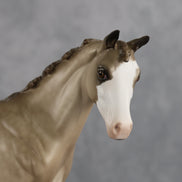 Shaka OOAK FCM Stock Horse Weanling by Sheryl Leisure Best Offer 8.26.2026