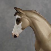 Shaka OOAK FCM Stock Horse Weanling by Sheryl Leisure Best Offer 8.26.2026
