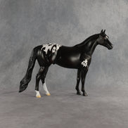 Sheldon OOAK Ideal Stock Horse by Madi Wiseman EQ26