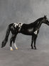 Sheldon OOAK Ideal Stock Horse by Madi Wiseman EQ26