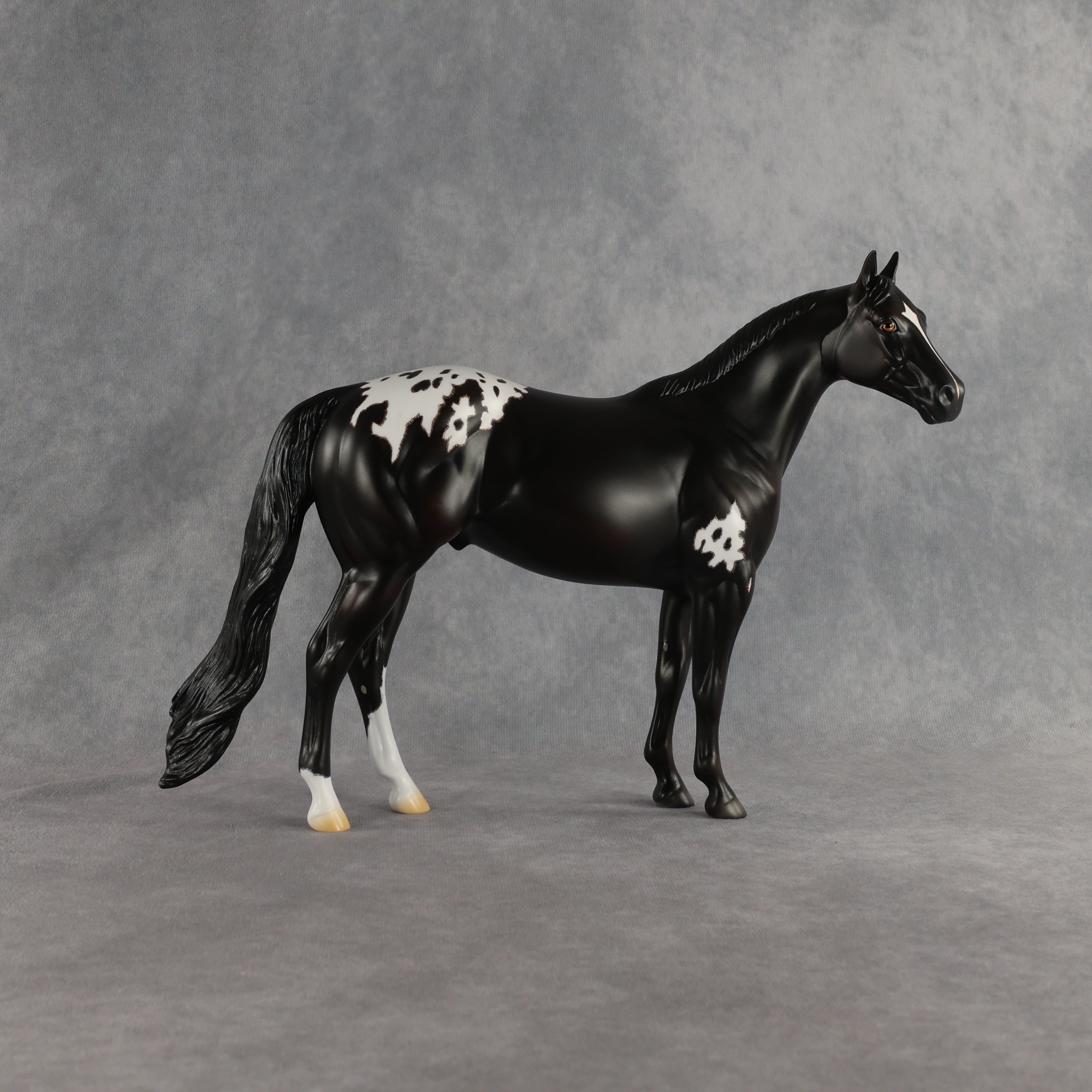 Sheldon OOAK Ideal Stock Horse by Madi Wiseman EQ26