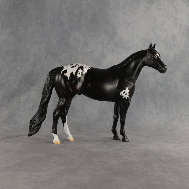Sheldon OOAK Ideal Stock Horse by Madi Wiseman EQ26
