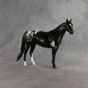 Sheldon OOAK Ideal Stock Horse by Madi Wiseman EQ26
